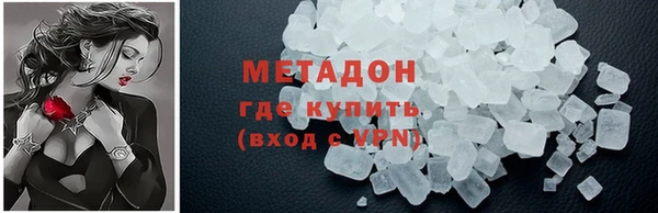 хмурый Аркадак