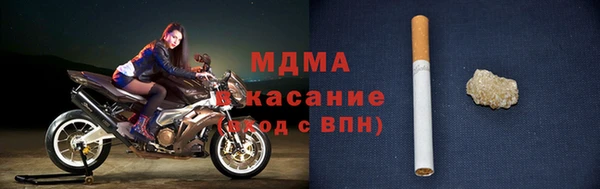 хмурый Аркадак