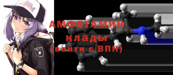 хмурый Аркадак