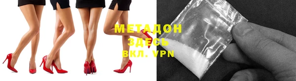 хмурый Аркадак