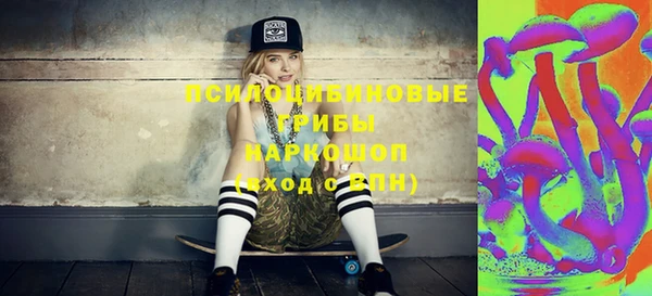хмурый Аркадак