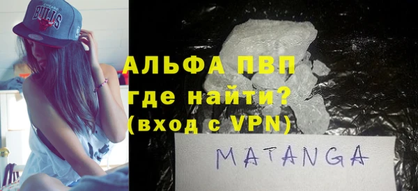 хмурый Аркадак