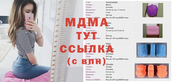 хмурый Аркадак