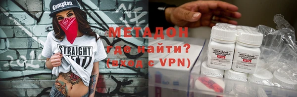 хмурый Аркадак