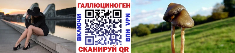 Галлюциногенные грибы MAGIC MUSHROOMS  гидра онион  Стрежевой 